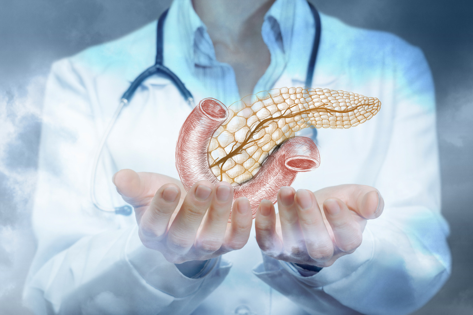 Medical Researchers Pancreas