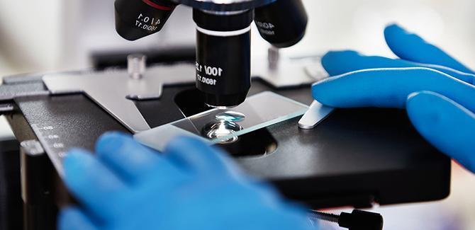 Yhteys Heikkojen Ja Vahvojen Solujen Valilla Lisaa Insuliinintuotantoa Tyypin 2 Diabeteksessa