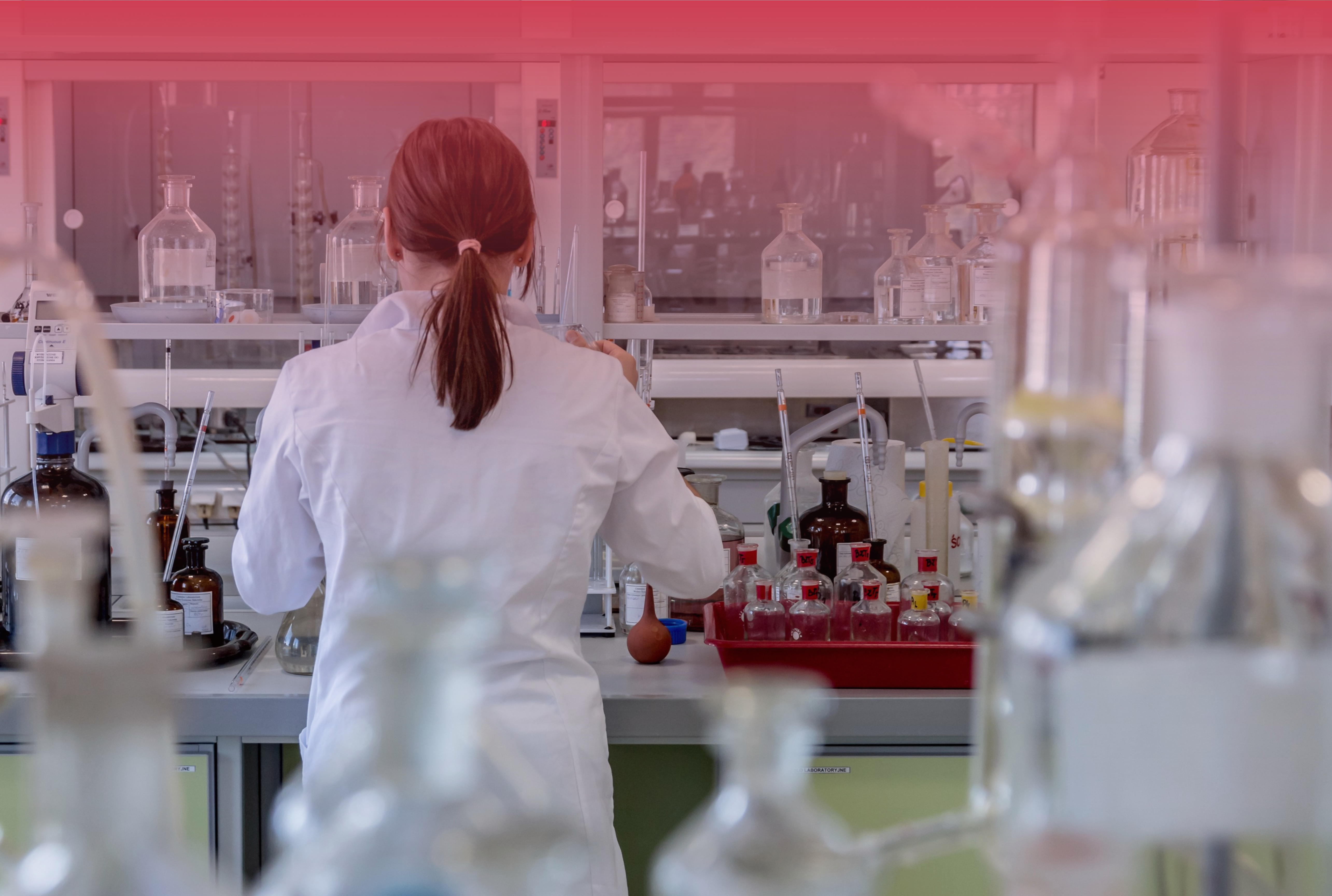 Blood Test Procedure In The Laboratory Image