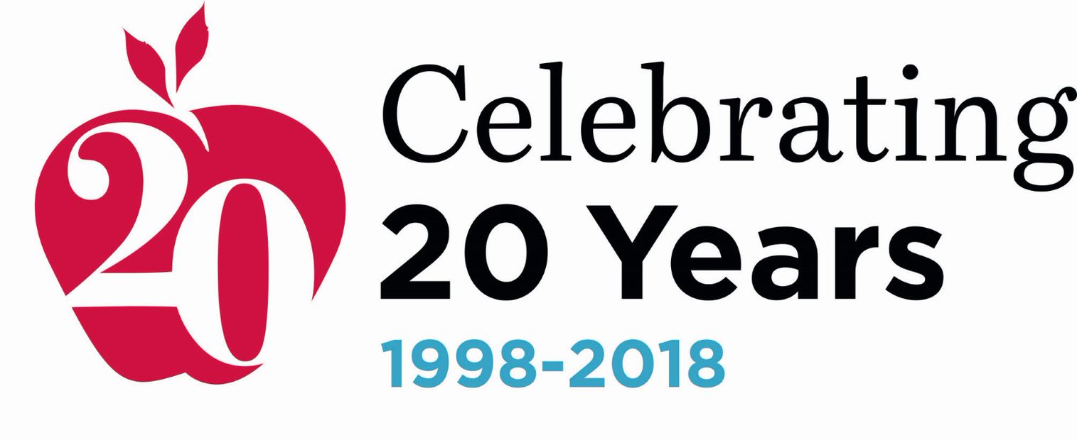 20 Year Anniversary Logo