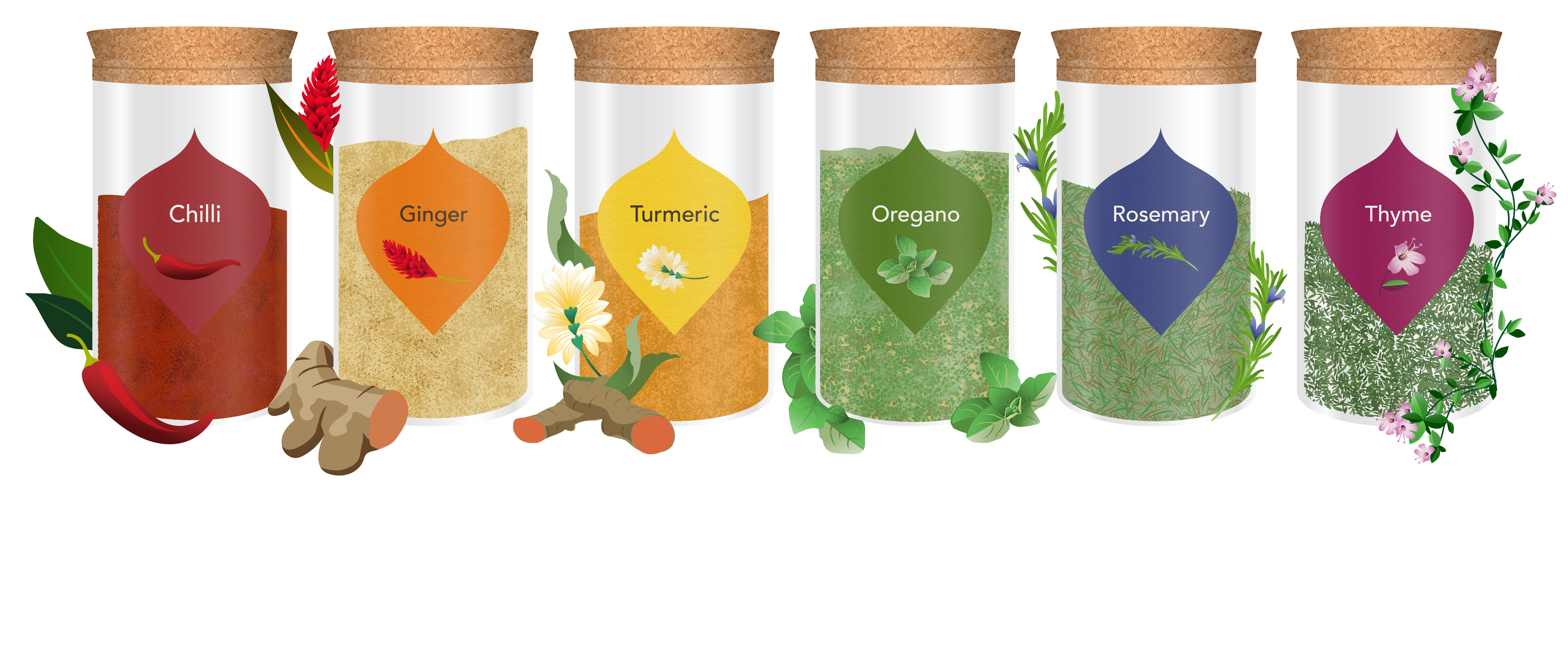 Pukka Advocacy Transparent Background (005) (1)